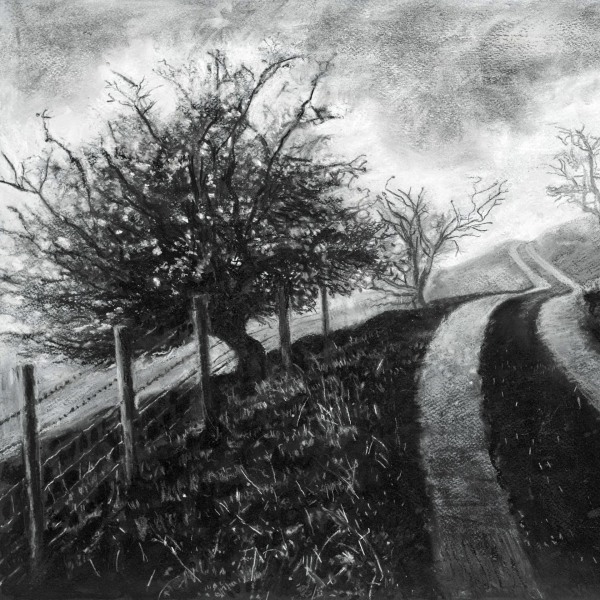 mist-on-the-road-to-rake-farm-no3-2