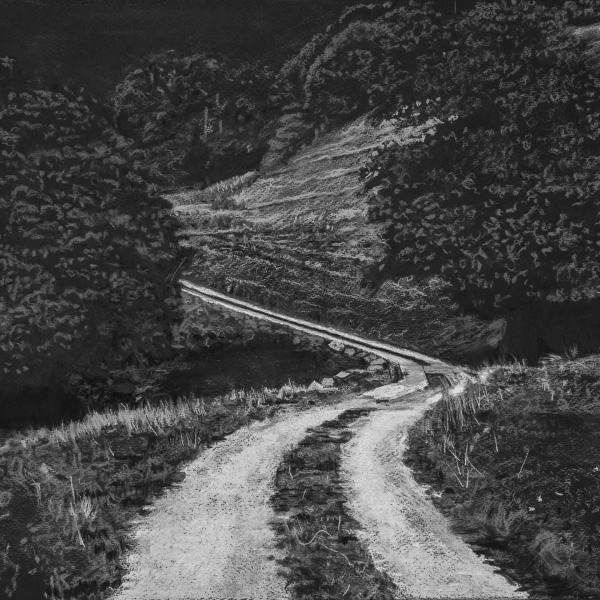 white-road-to-rake-farm-study