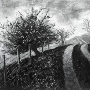 ‘Mist on The Road to Rake Farm’ No. 3